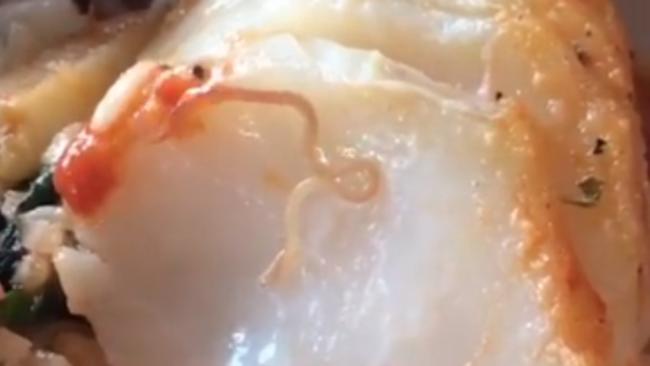 Video Shows Worm Crawling in Diner's Fish Dish at New Jersey Restaurant