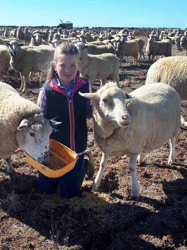 Abbey Wishart, 8, feeding some sheep on the farm in Macorna. Picture: Supplied