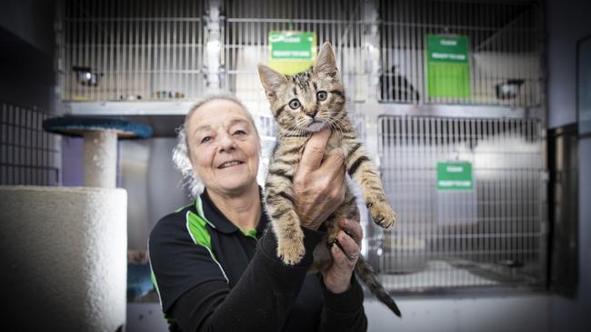 Ten Lives Cat Centre volunteer Leanne Cook with Patrick the kitten. Picture: LUKE BOWDEN