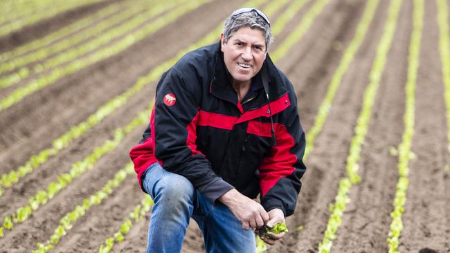 Bill Bulmer on his farm near Bairnsdale in East Gippsland. Picture: AARON FRANCIS