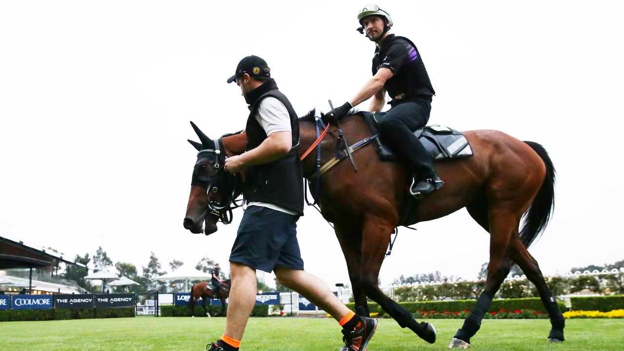 Arcadia Queen ‘could be a freak’. (Photo by Matt King/Getty Images)