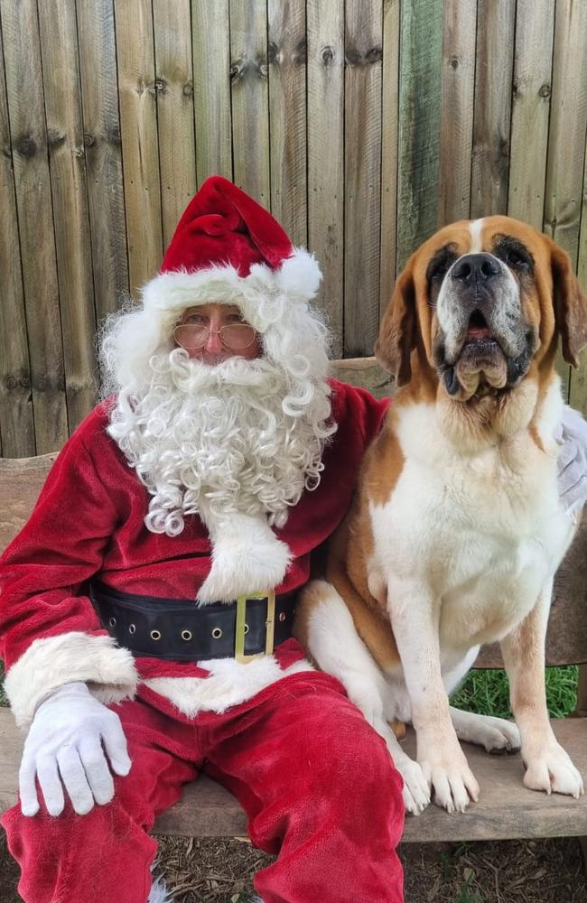 Guests enjoyed a visit from Santa over Christmas at Pet Resorts of Australia Eumundi-Noosa. Picture: Facebook