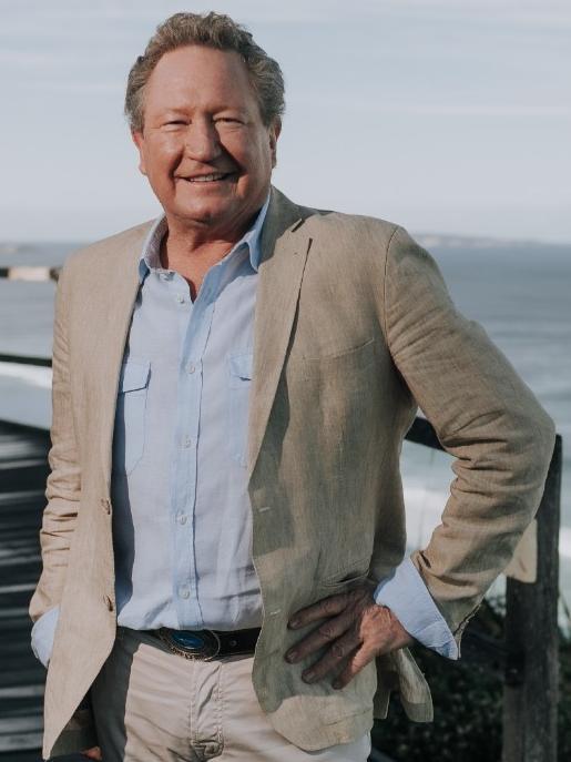 You didn’t really think you’d be seeing THAT kind of Andrew ‘Twiggy’ Forrest picture, did you?