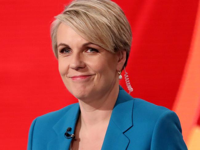 Ms Plibersek said she ‘cannot reconcile the important responsibilities I have to my family with the additional responsibilities of the Labor leadership’. Picture: Damian Shaw