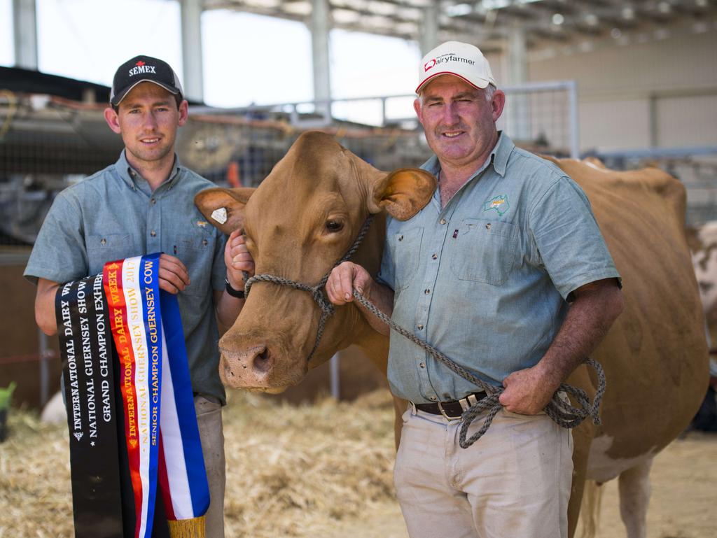 International Dairy Week: Jersey cow named IDW grand champion | The ...