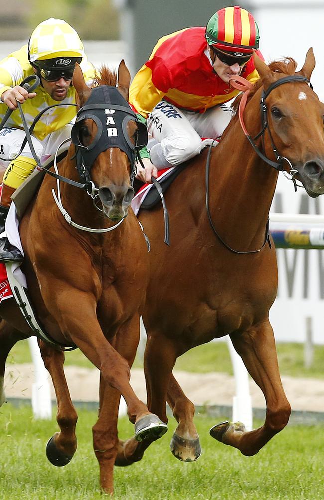 Criterion and Happy Trails fight out last year’s Caulfield Stakes. Picture: Colleen Petch