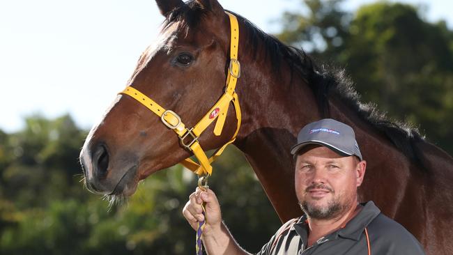 Reigning Townsville Cup winner Stephen Massingham has Follow Suit in Friday's 2020 version of the race. PICTURE: STEWART McLEAN.