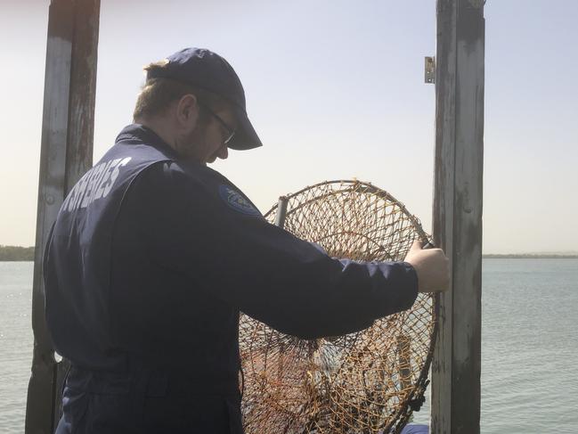 Three dead eagles trigger crab pot warning of $40k fines