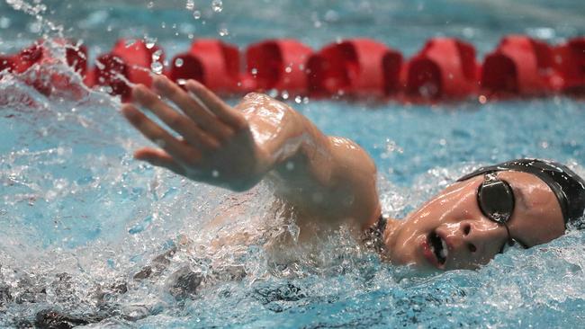 A Knox Pymble swimmer competes in the relay.