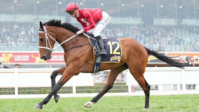 Everlasting Kiss on the way to the barriers prior to the running of the Schweppes Ethereal Stakes at Caulfield on October 21. Picture: Scott Barbour / Racing Photos