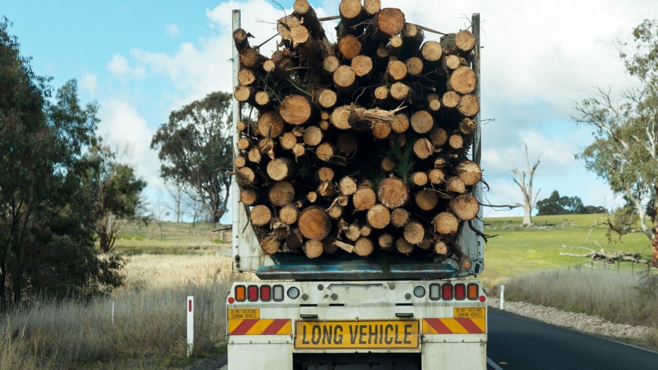 Daniel Andrews' government 'crippling' Victoria's timber industry