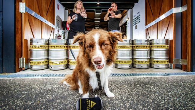 Archer Brewing owners Lucy and Stuart Martin with their dog (and brewery namesake) Archer. Picture: Nigel Hallett.