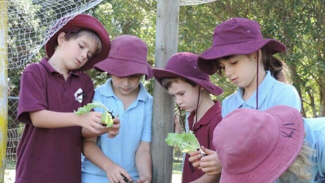 The Pocket Primary School exceeded its NAPLAN results. Picture: Google Maps.