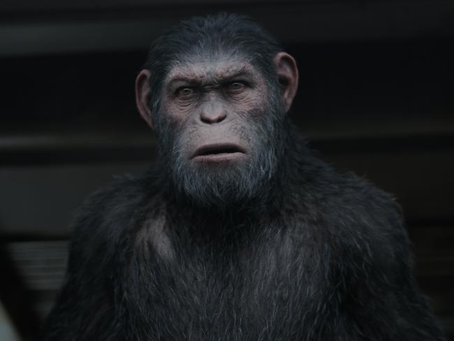 War for the Planet of the Apes review and rating (2017) | Herald Sun