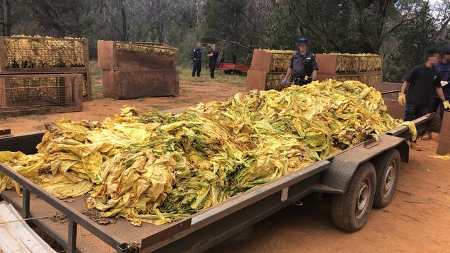 The ATO seized illicit tobacco equivalent to the weight of about 14 bulldozers last week. Photo: ATO