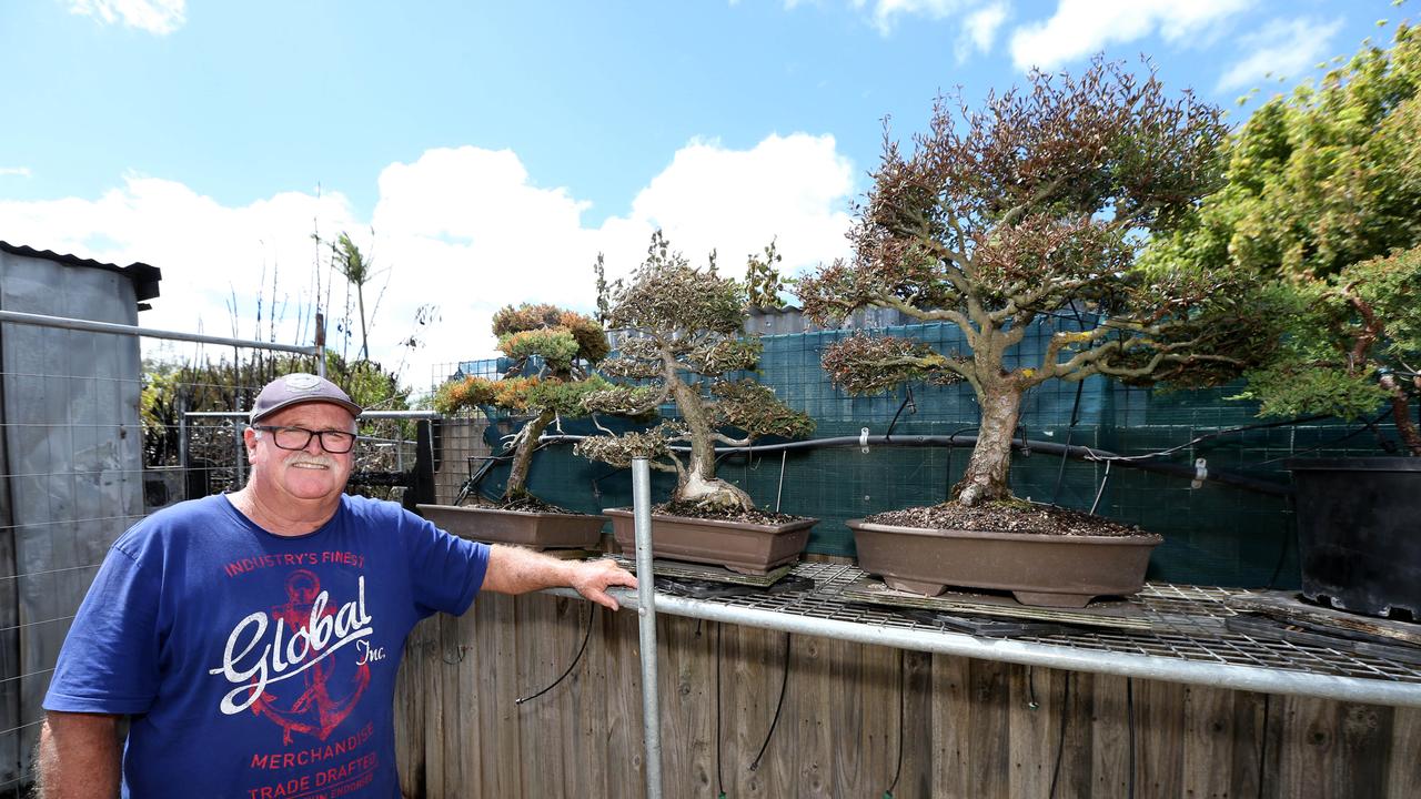 Andy McDonald with some of his Bonsai plant collection singed by the fire. Picture: Mike Dugdale