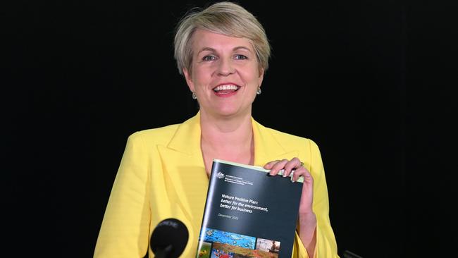 Federal Environment Minister Tanya Plibersek unveiled the government's overhaul of the Environment Protection Act on Friday. Picture: NCA NewsWire/Dan Peled