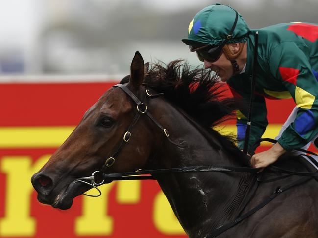 GOLD COAST, AUSTRALIA - JANUARY 11: Ryan Maloney rides Alligator Blood to victory int he $2 Milion Gold Coast Magic Millions 3YO Guineas race during the 2019 Magic Millions at the Gold Coast Turf Club on January 11, 2020 in Gold Coast, Australia. (Photo by Regi Varghese/Getty Images)