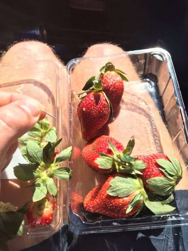 Allegedly spiked strawberries in a Facebook picture