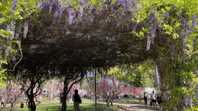 The gardens are more than 100 years old.