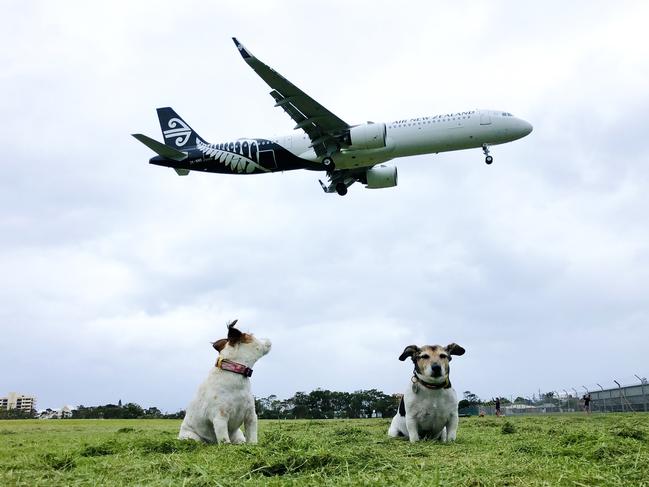 Wish I could go to New Zealand. Photo: Jo Staveley