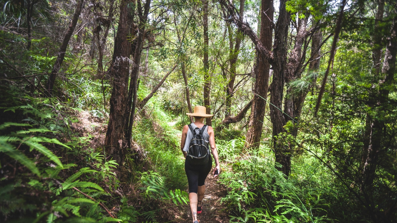  Hiking Leggings