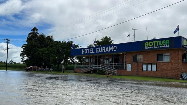 Hotel Euramo publican, Ollie Muzik, is feeling an eerie sense of de ja vu with floodwaters almost lapping at the bush pub's entrance as the did during the December floods. Image: Supplied.