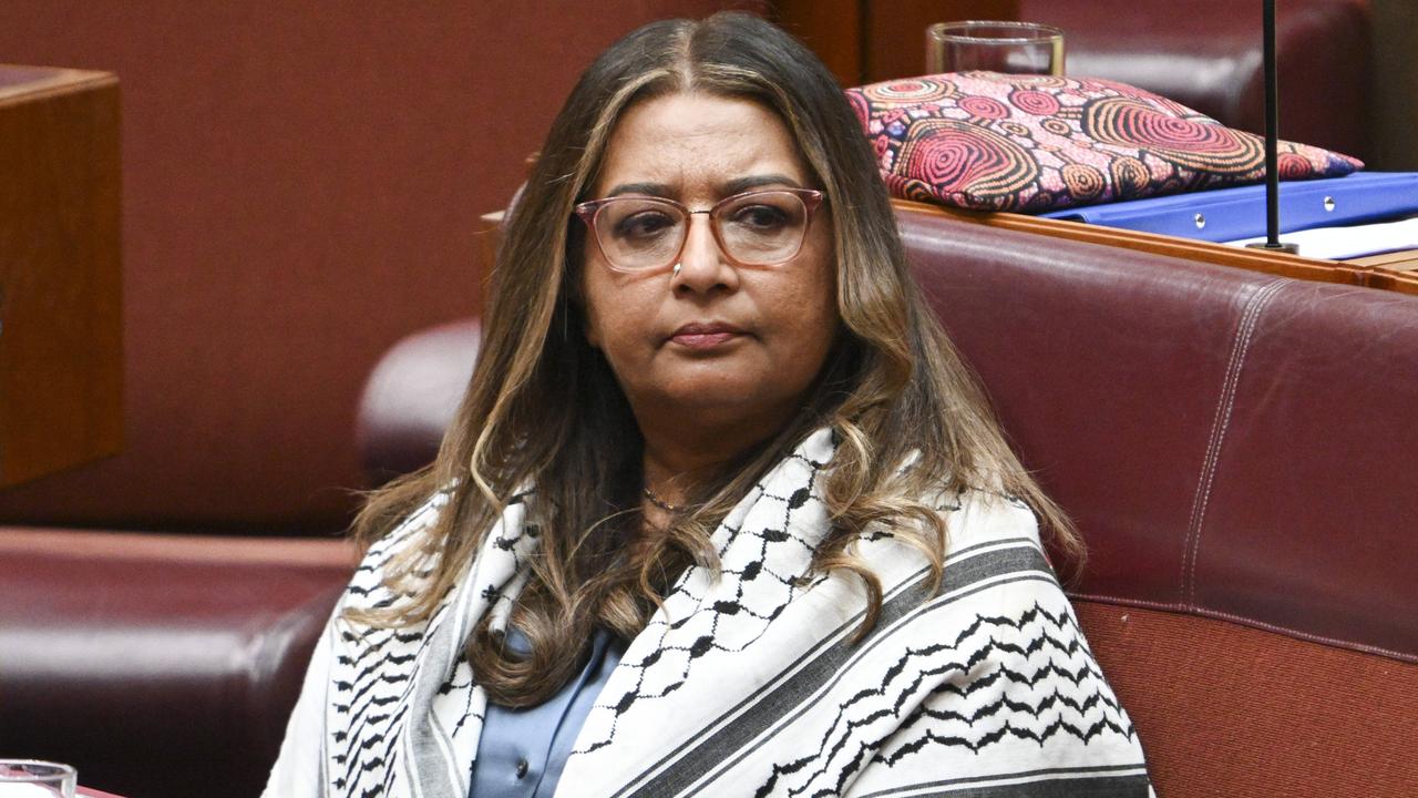 He criticised comments made by Greens senator Mehreen Faruqi. Picture: NewsWire/ Martin Oldman