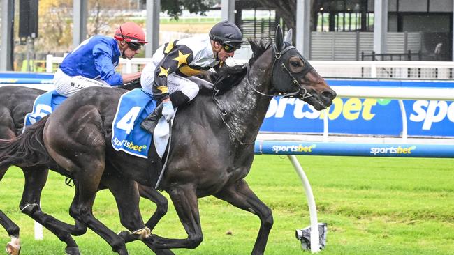 Here To Shock winning the Group 3 Victoria Handicap at Caulfield last month. Picture: Reg Ryan/Racing Photos via Getty Images