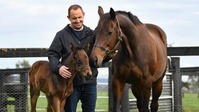 Chris Waller with Winx and her filly.