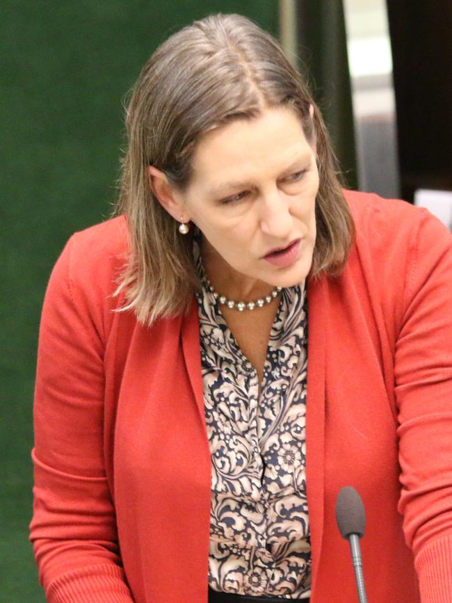 Greens leader Cassy O'Connor addresses state parliament on Wednesday 23 June 2021.