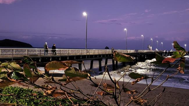 Jetty at Palm Cove. Ross Palm