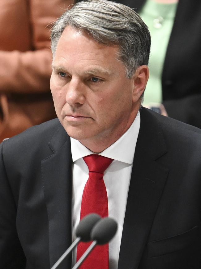 While Ms Tarnawsky did not say Richard Marles had bullied her, she said he should be held accountable for her complaints were handled. Picture: NewsWire/ Martin Ollman