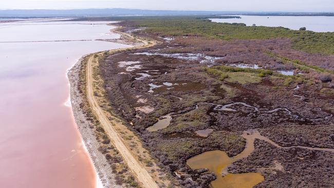 Drone footage reveals damage to mangroves and saltmarsh at St Kilda. Picture: Alex Mausolf