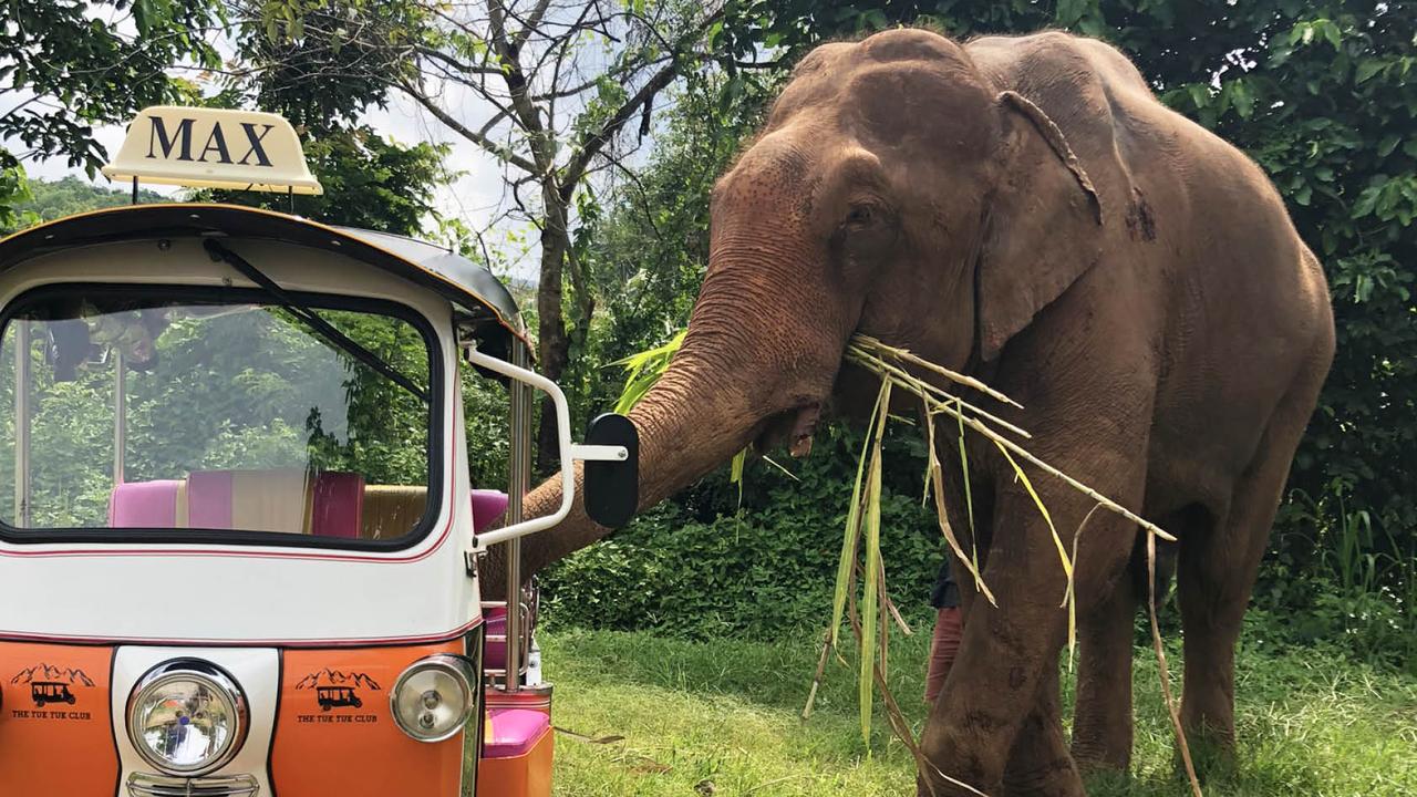 Explore Thailiand in a quirky tuk tuk.