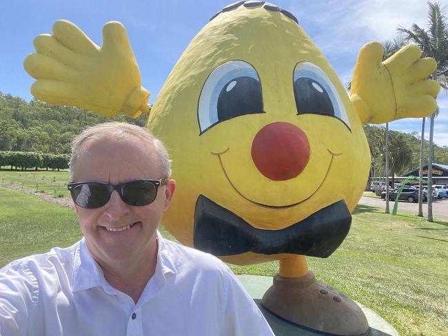 Labor leader Anthony Albanese poses with the Frosty Mango in North Queensland. Picture: Instagram