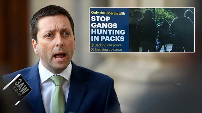 Victoria’s Liberal Party, headed by Matthew Guy, has been accused of singling out African gangs.