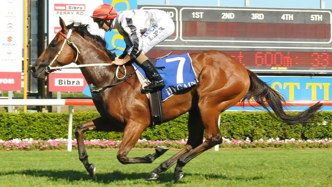 Jockey Luke Rolls rides the Mel Eggleston-trained All Over Bosanova to victory in the Class 2 Handicap (1100m) on the Gold Coast on Saturday, January 28. Picture: Grant Peters, Trackside Photography.