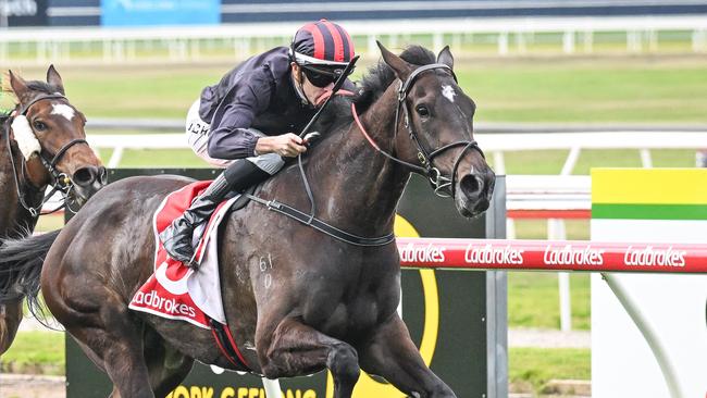 She's A Hustler can overcome a 62kg impost to score first-up at Thursday night's Pakenham meeting. Picture: Racing Photos via Getty Images