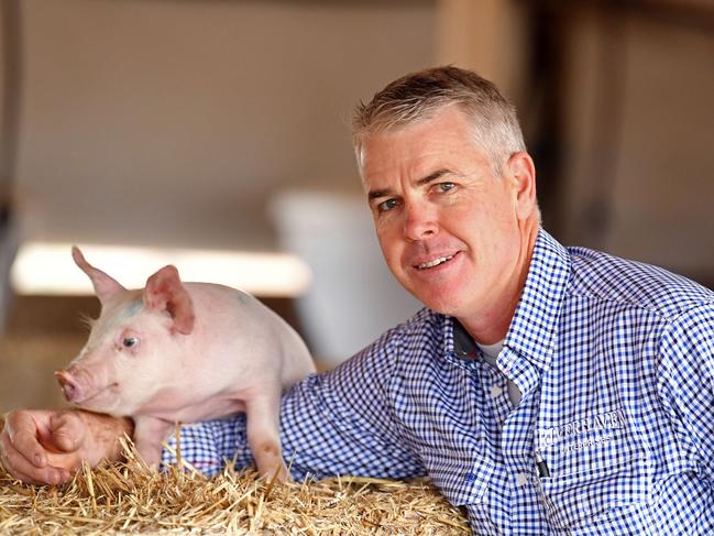 16/08/19 - Mark McLean is the chairman of Pork SA, representing the state's pig farmers. The industry has started to turn a corner after some very tough years, with prices heading up on the back of tighter supply.  Pictured at his Taylorville property.Picture: Tom Huntley