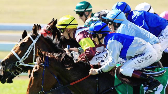 Adam Sherry is learning towards Alpha Go as his best bet at Cowra.