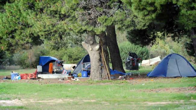 A report has called for new rules to allow camping in the parklands. Picture: David Cronin