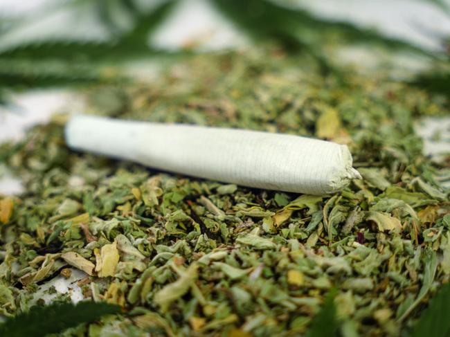 Equipment smoke weed on white table. Cannabis legalisation. CBD and THC on buds in cannabis. Cannabis buds weed on wood background. Marijuana smoking pipe. legalization of light drugs.
