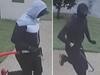 ‘This is getting insane’: Axe, crowbar-wielding pair’s rampage