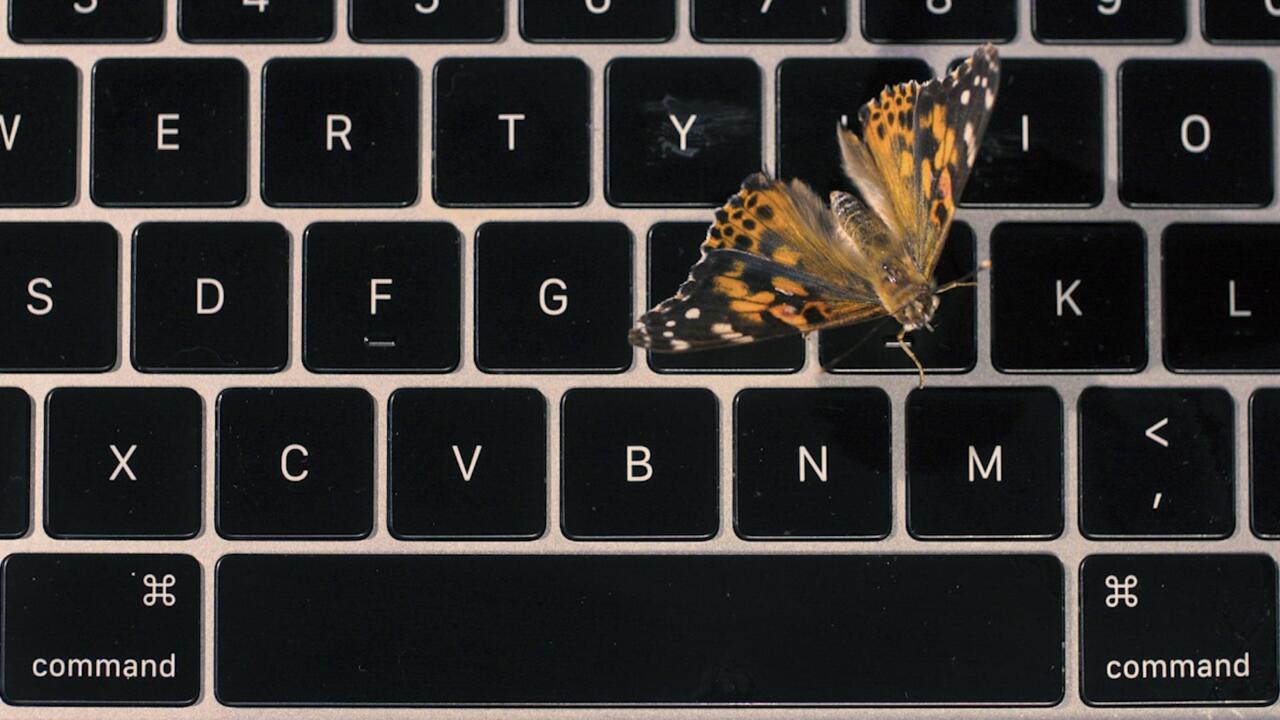 Apples Faulty Macbook Butterfly Keyboard Explained With Real Butterflies Au 1289