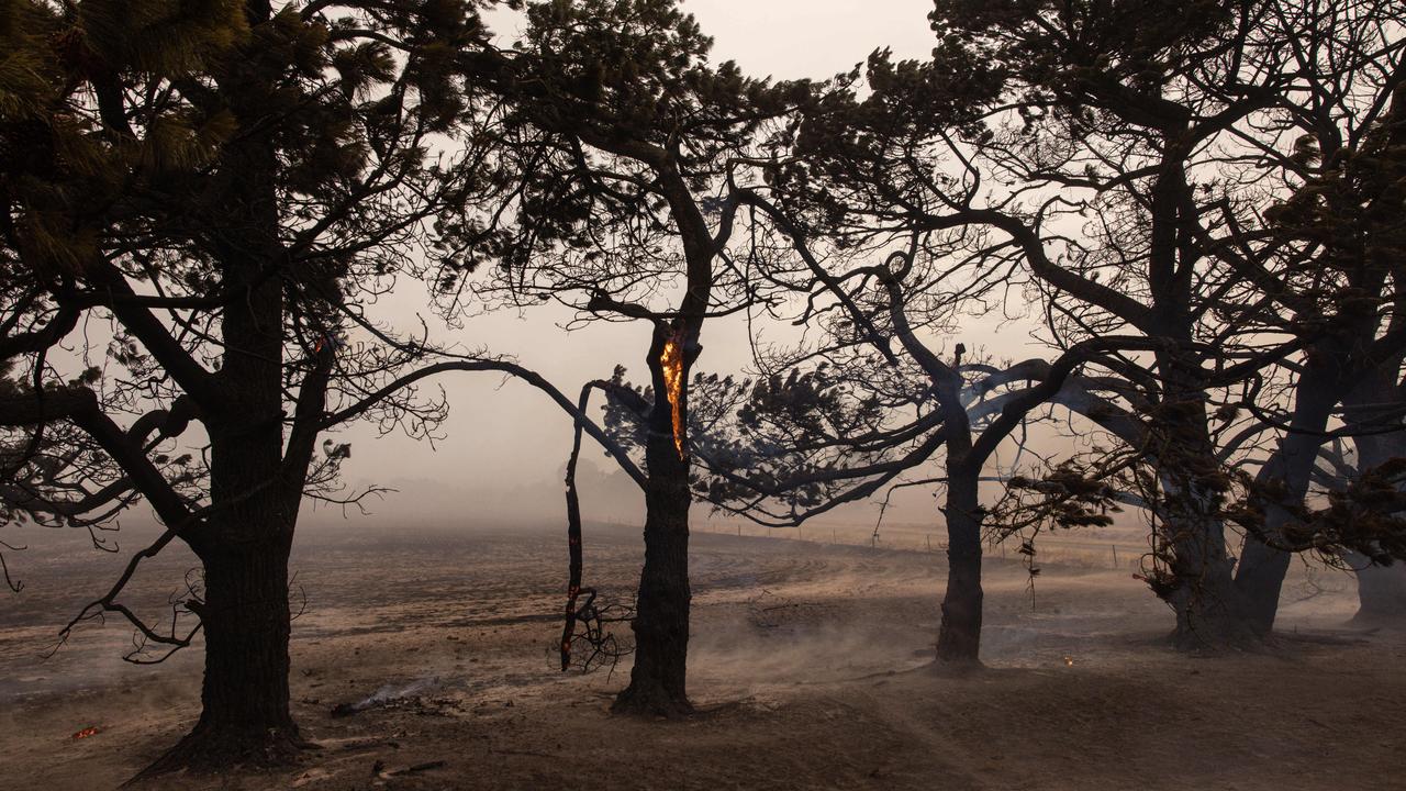 Those who are unable to get indoors are advised to shelter in the middle of a large open area and to try to protect themselves from the fire’s heat. Picture: NewsWire / Diego Fedele