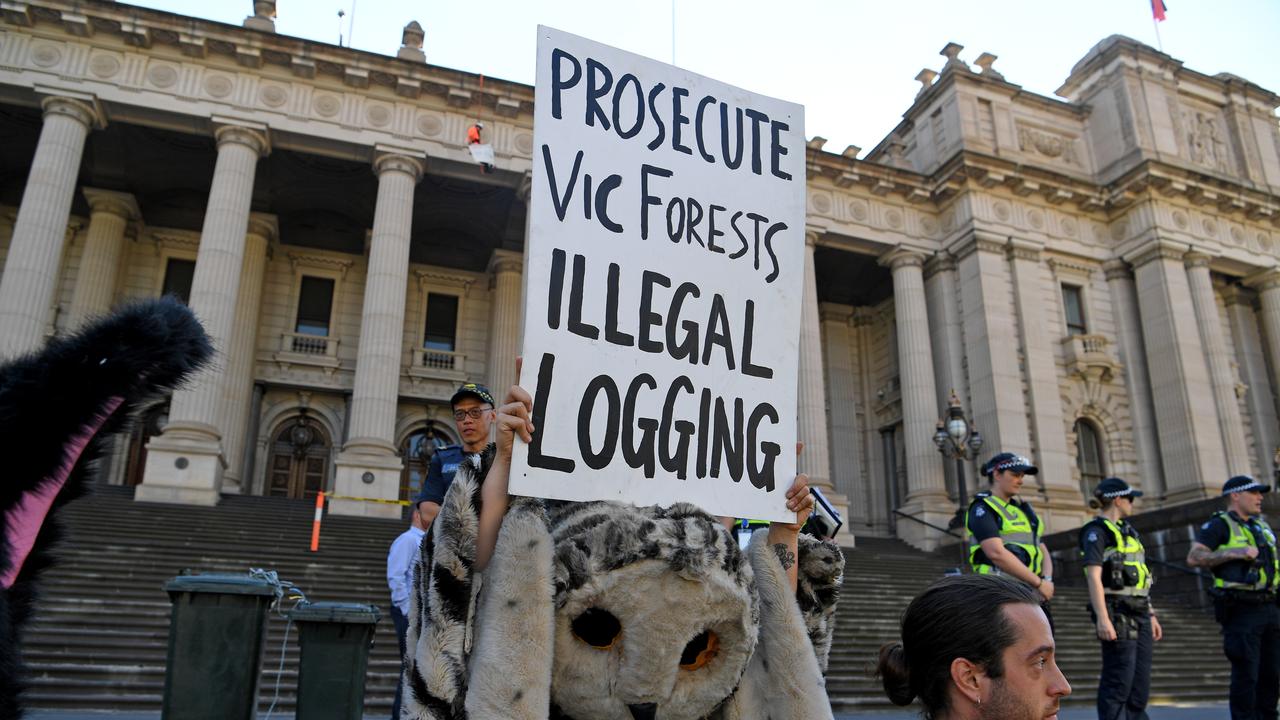 Green lawfare: Anti-logging protesters cost VicForests $4.8m last financial year.