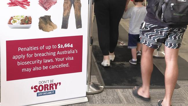 Mats in use at Perth Airport to help prevent the spread of foot-and-mouth disease. Picture: Supplied