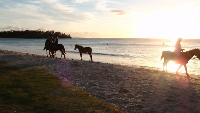 escape fiji