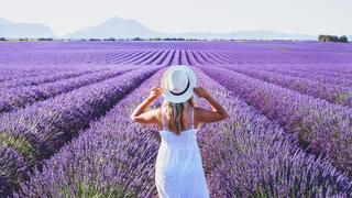 dream and inspiration, summer happy woman in romantic white dress enjoying nature in lavender flowers fields